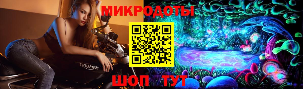Псилоцибиновые грибы мицелий Бузулук
